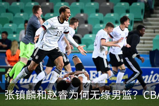 张镇麟和赵睿为何无缘男篮？CBA名记分析，道出2个原因